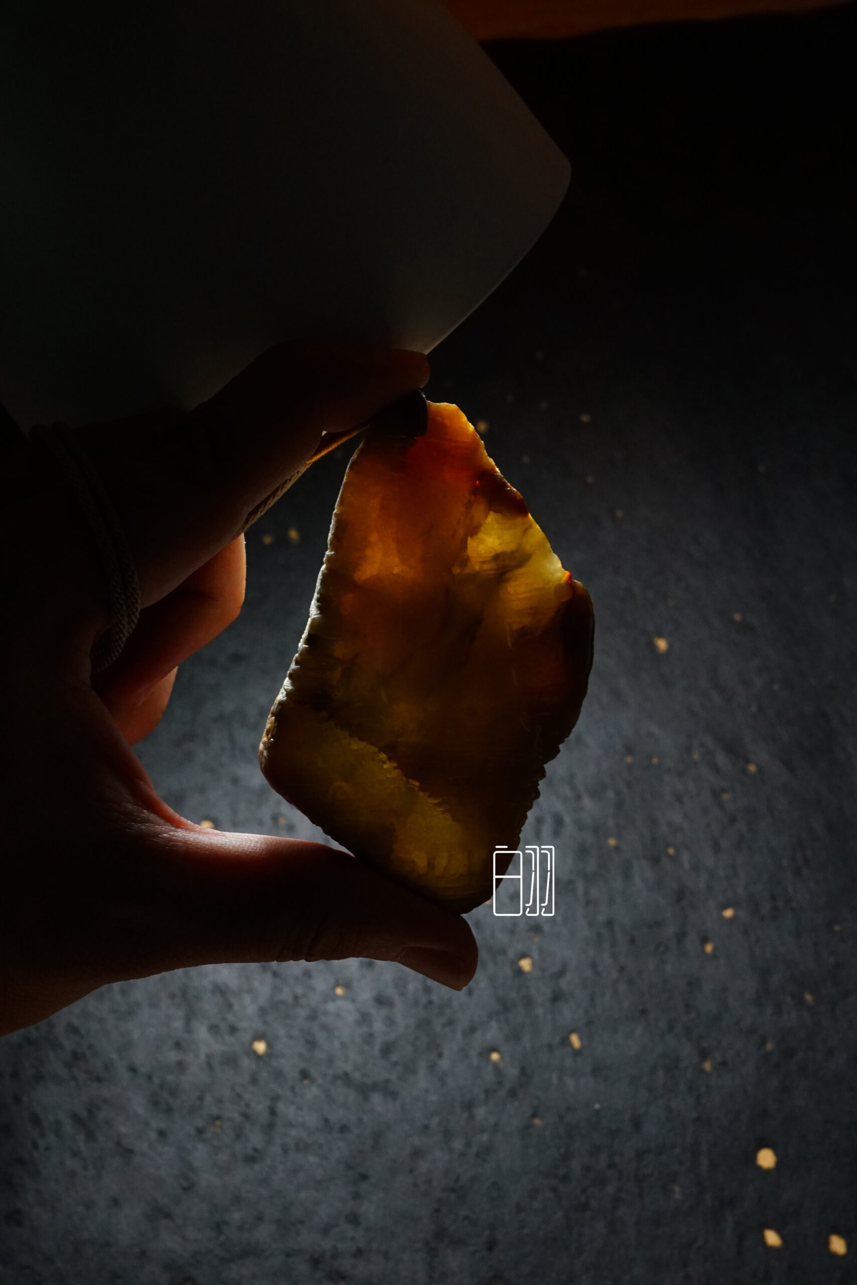 dracaena lisa dracaena lisa