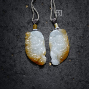 ficus decora burgundy