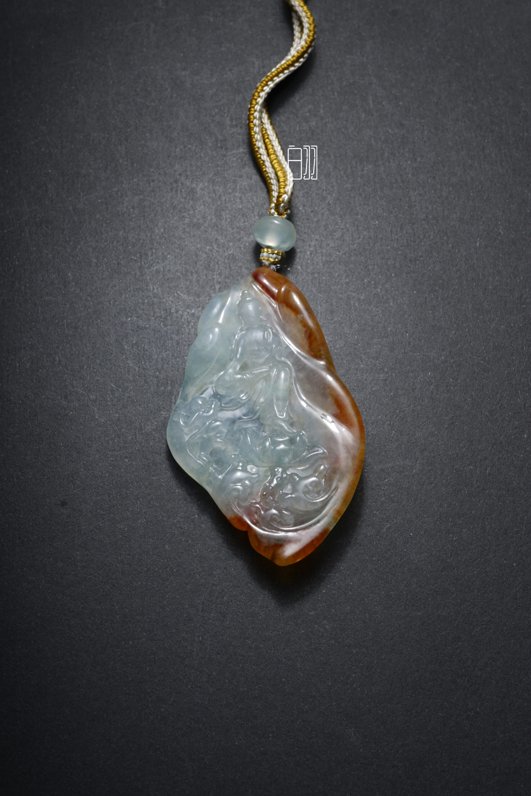 ficus decora burgundy ficus decora burgundy