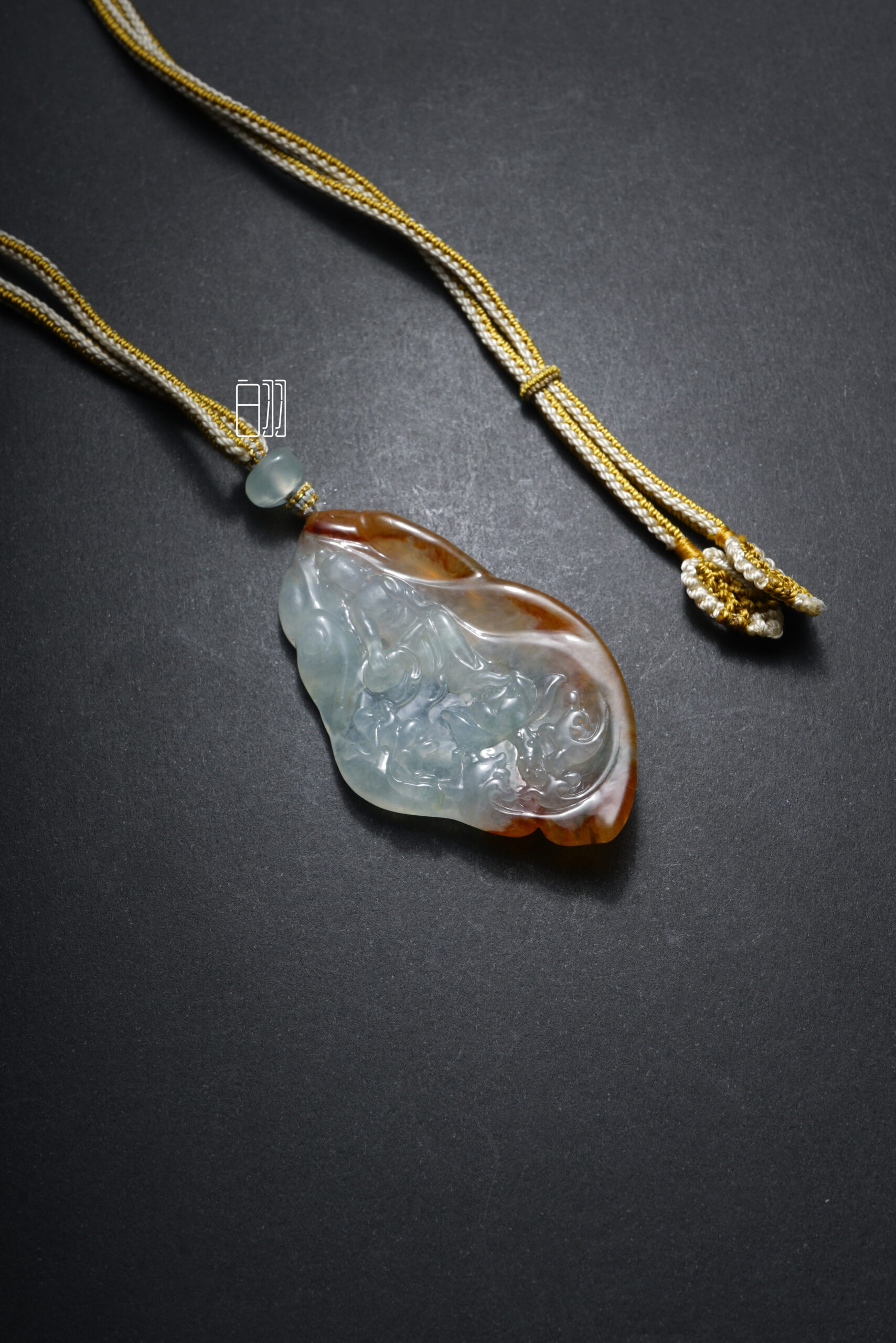 ficus decora burgundy ficus decora burgundy