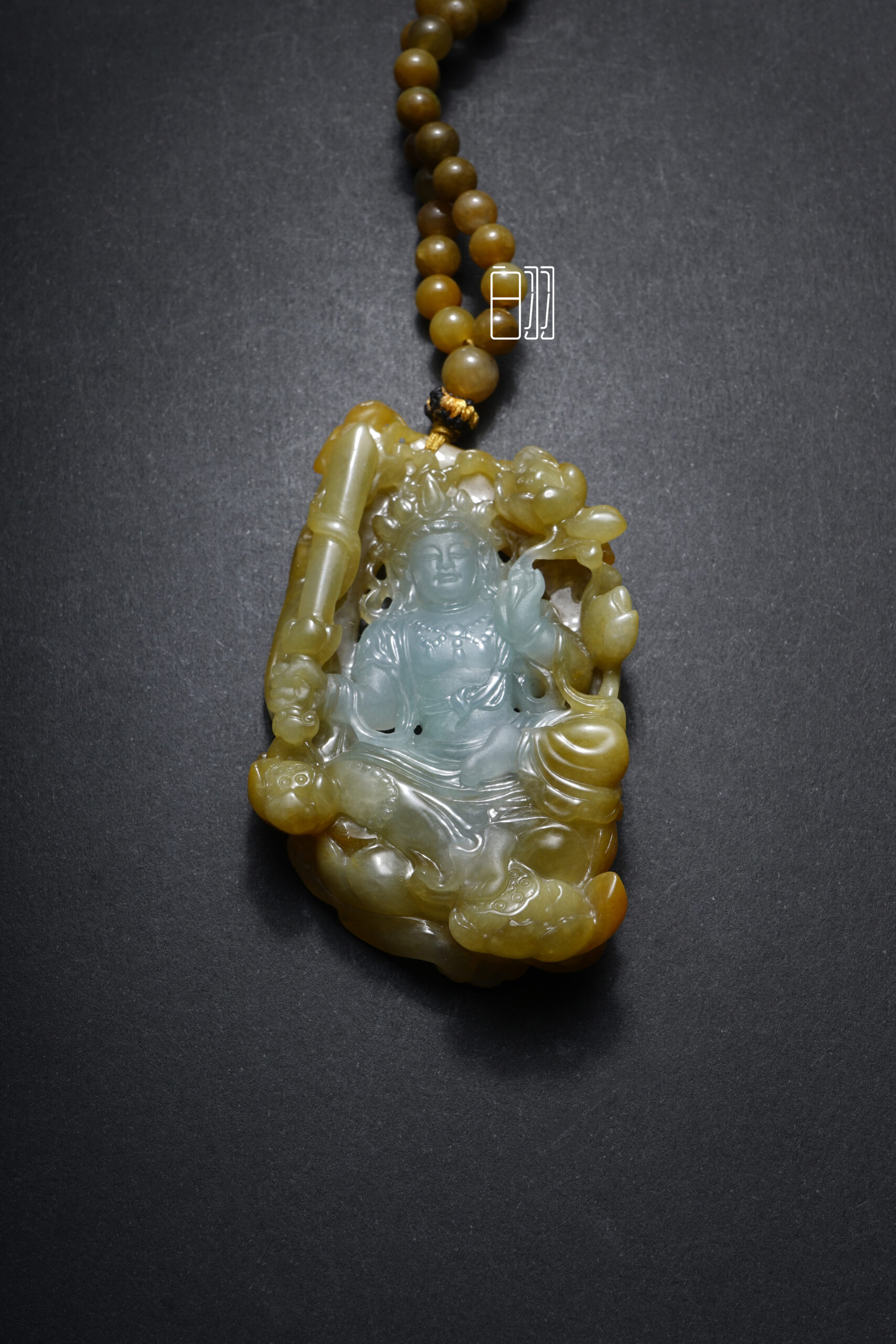 ficus decora burgundy ficus decora burgundy