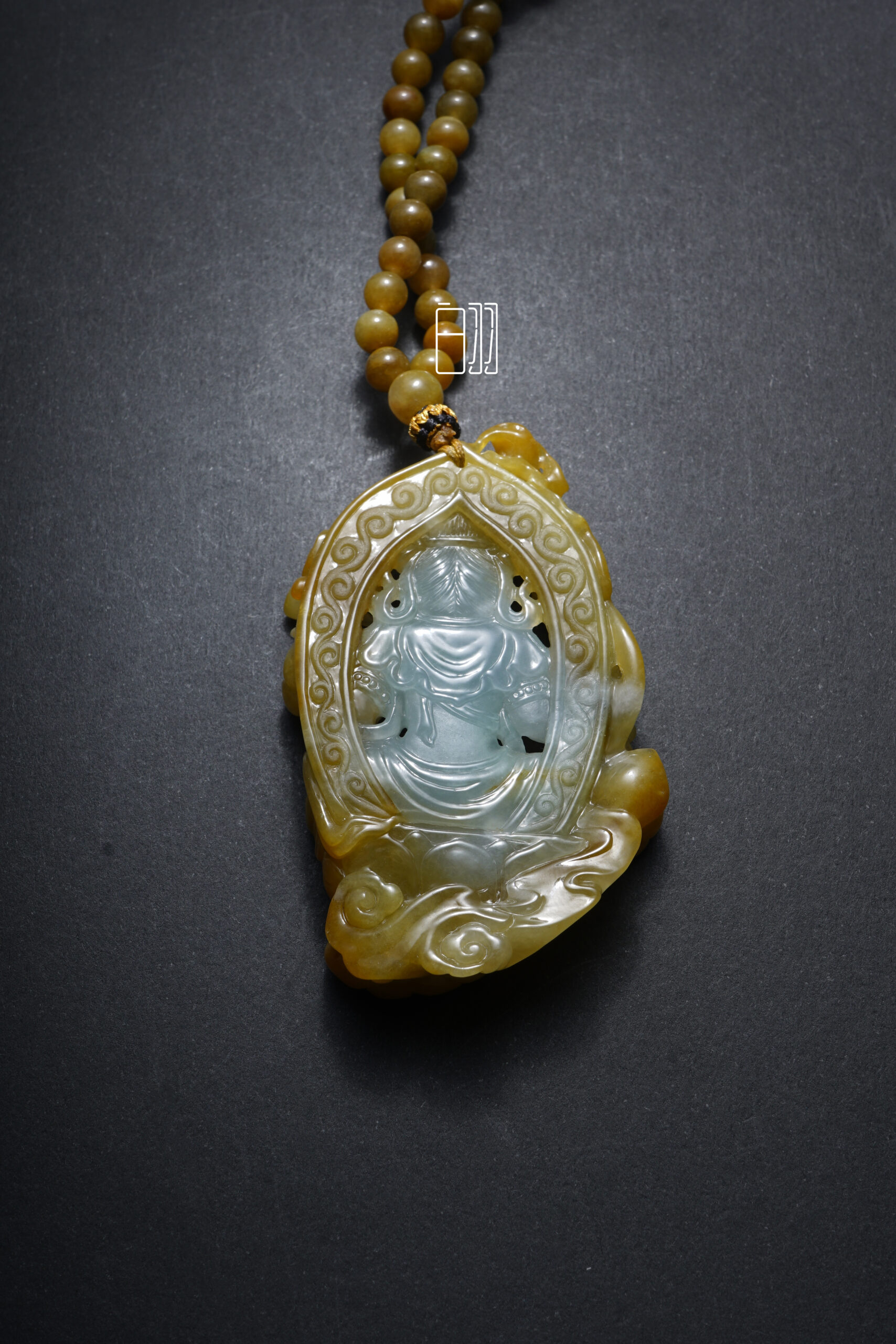 ficus decora burgundy ficus decora burgundy