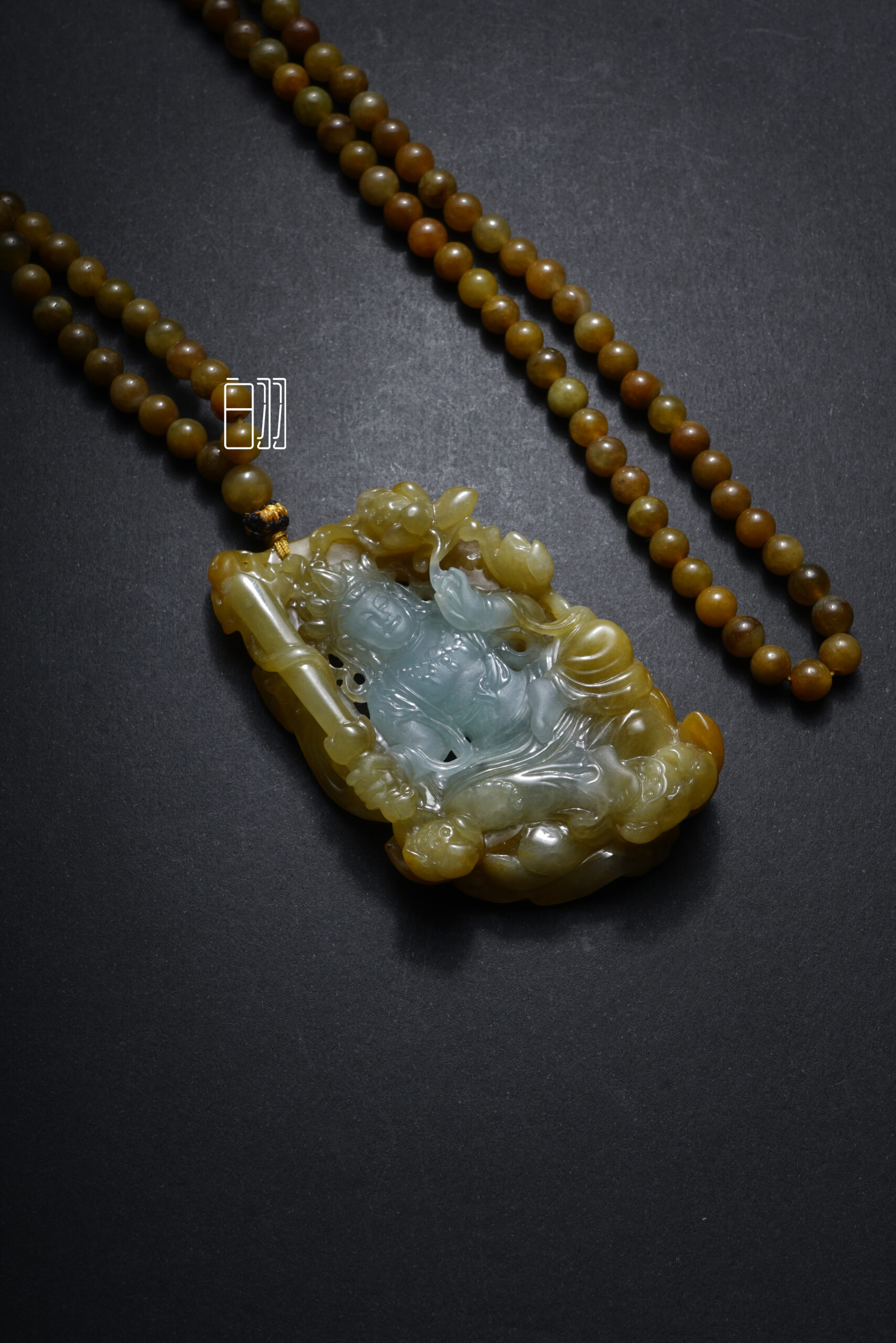 ficus decora burgundy ficus decora burgundy