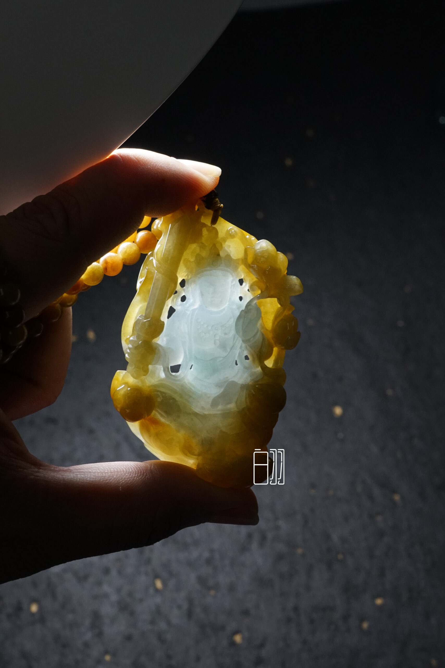 ficus decora burgundy ficus decora burgundy