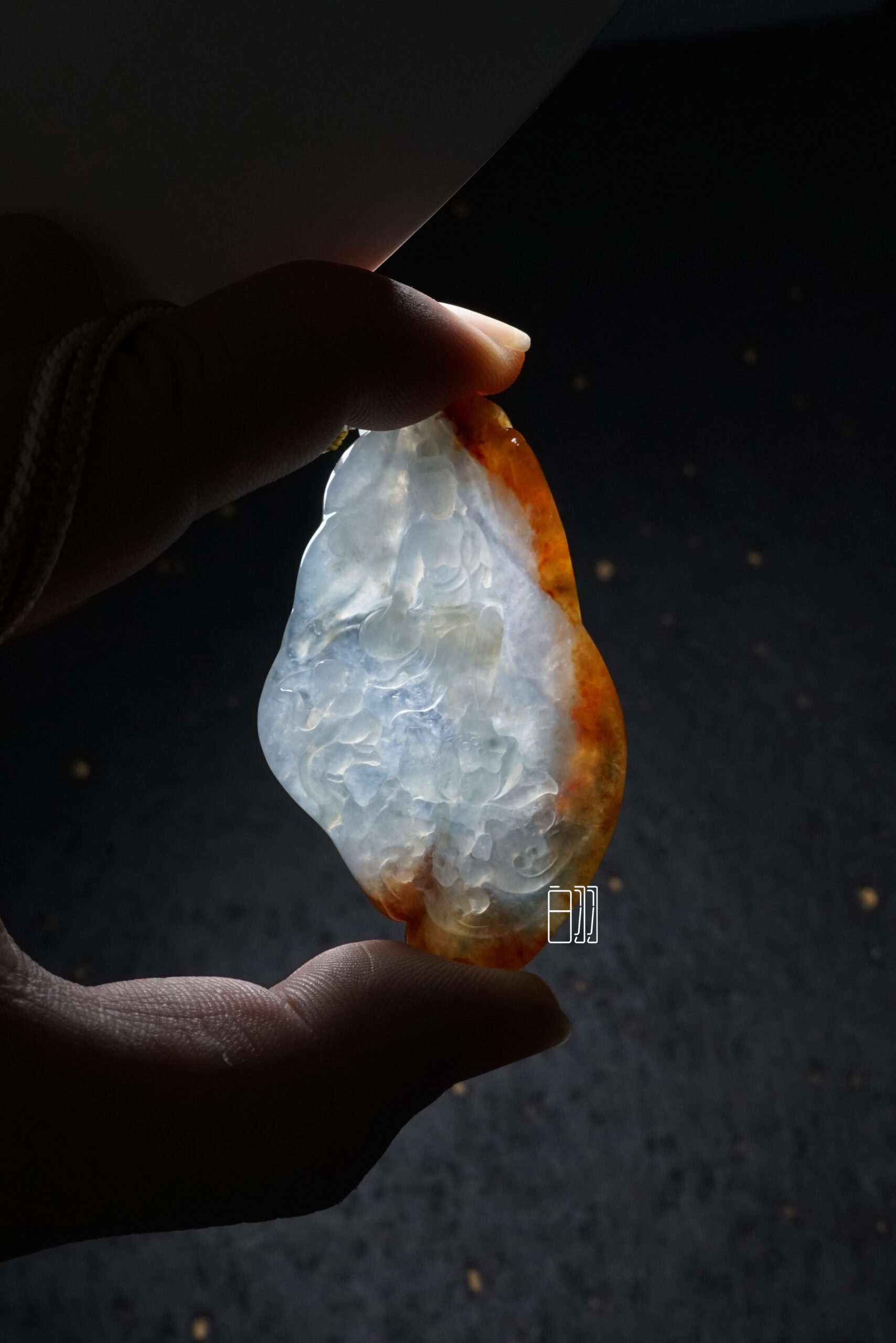 ficus decora burgundy ficus decora burgundy