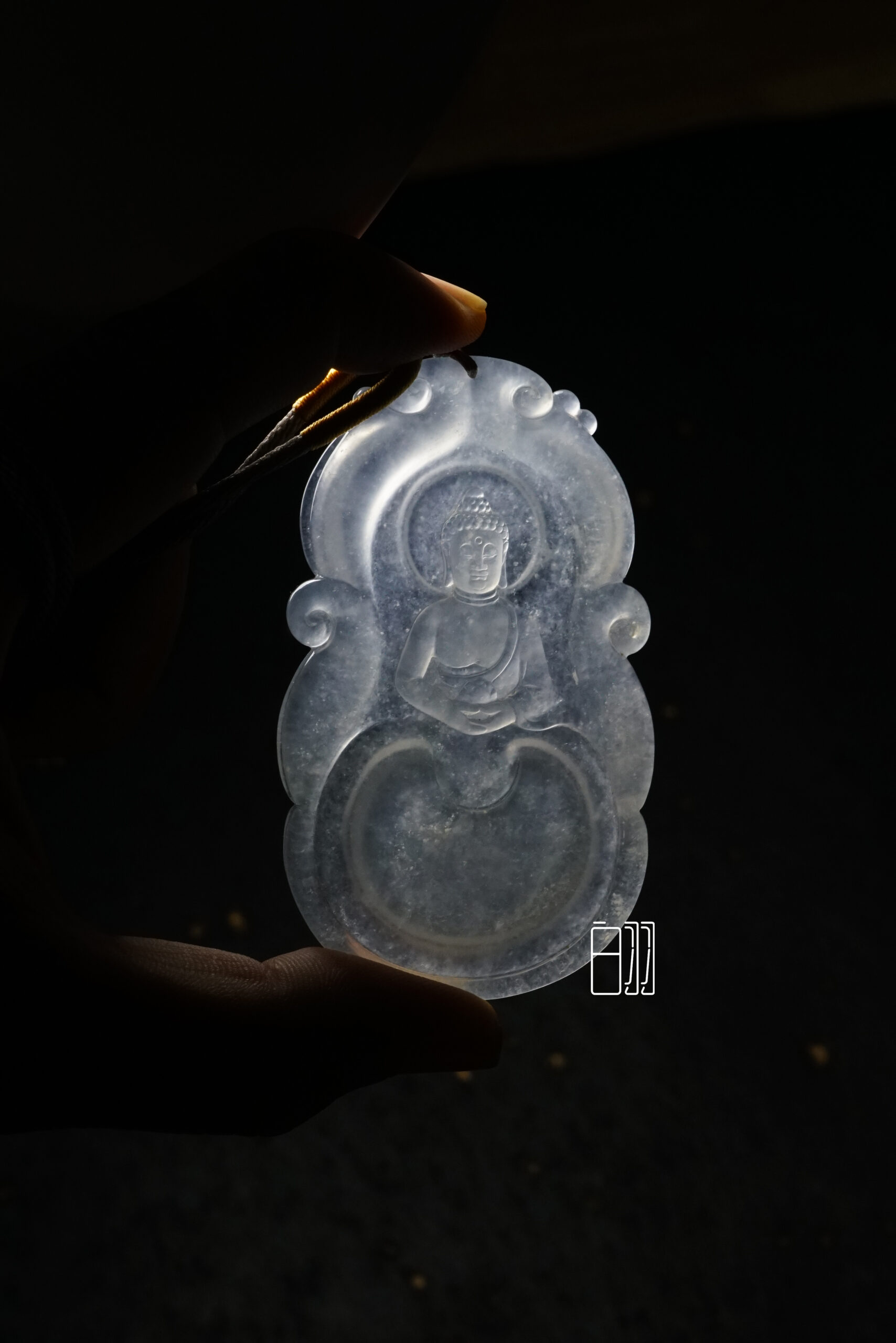 calathea beauty star calathea beauty star