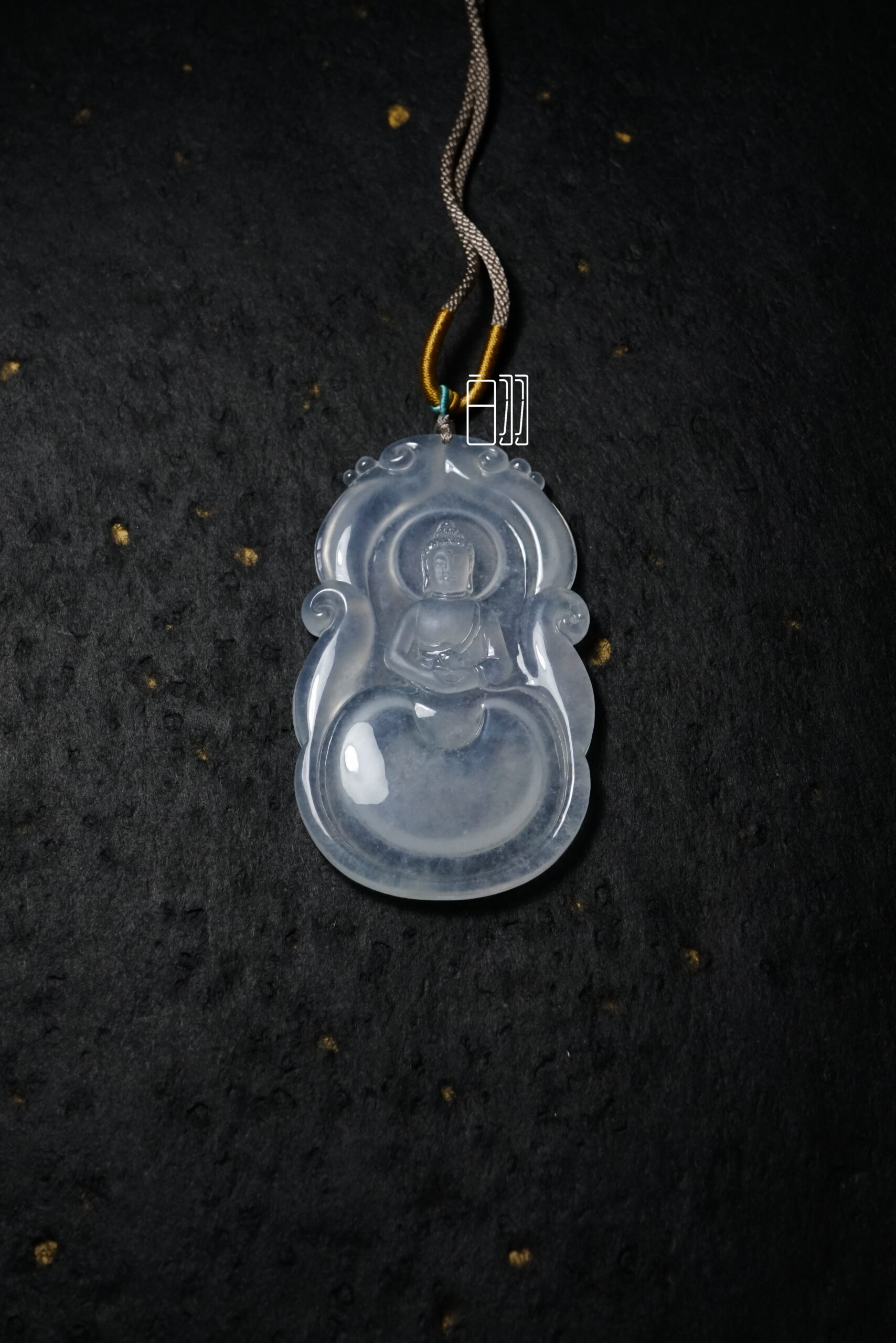 calathea beauty star calathea beauty star