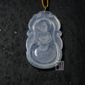 calathea beauty star